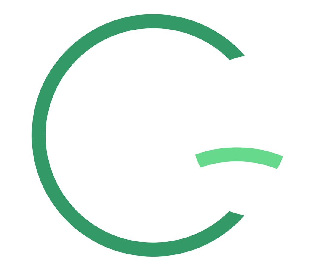 Guigi Consulting